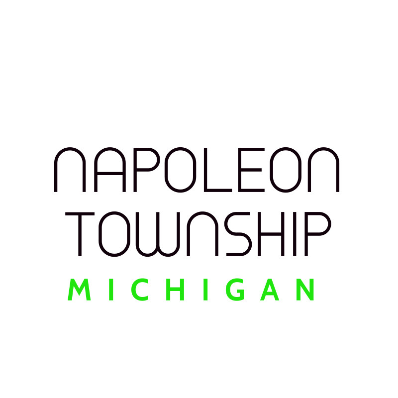 napoleon revize logo